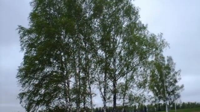 Бородино смотреть онлайн