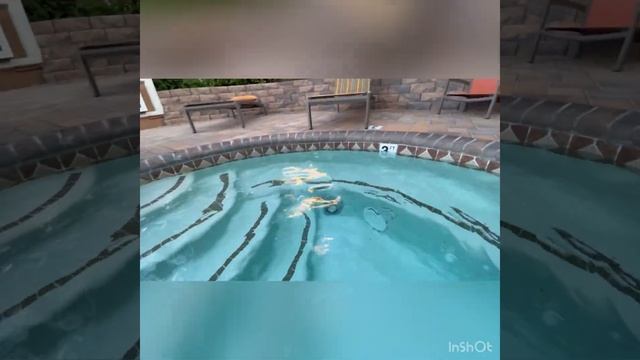 Жизнь в Лас Вегасе смотреть онлайн