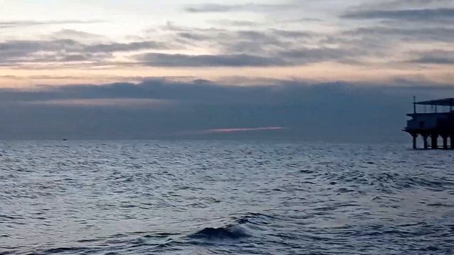 Кит | Сочи | 10 февраля 2024 г. 🌴🌴🌴