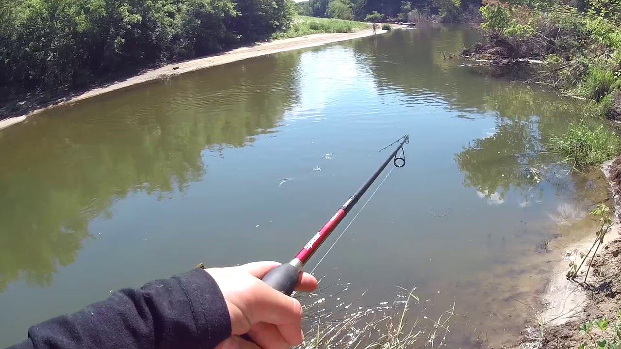 Ловля жереха, головля, окуня, карася. Рыбалка на спиннинг и фидер