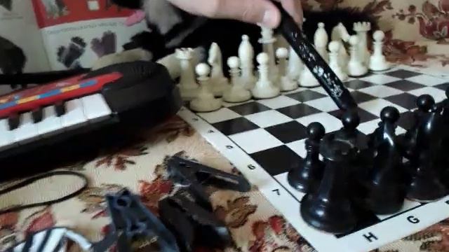 Ольга Евдокимова