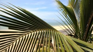 МАЛАЙЗИЯ.  КОТА-КИНАБАЛУ