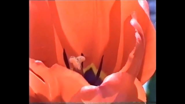 +Воронеж. Просто подари смотреть онлайн