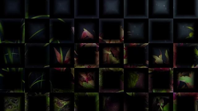 Alternanthera Reineckii - Plant Profile смотреть онлайн