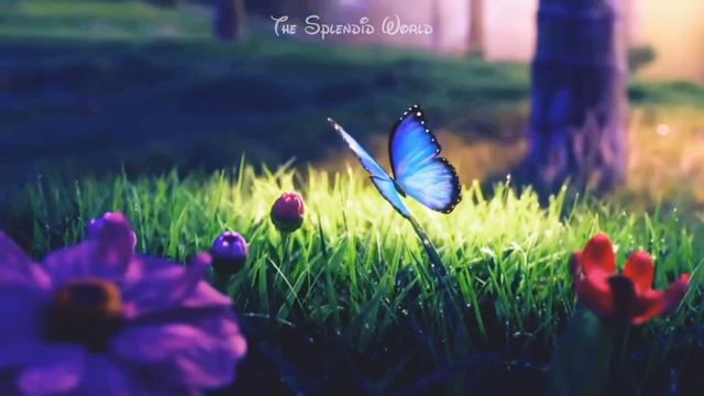 Encanto: Dos Oruguitas - Sebastián Yatra / Letra