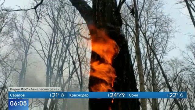 Первый канал , 23 мая 2024
В Хабаровском крае удалось потушить 12 очагов смотреть онлайн