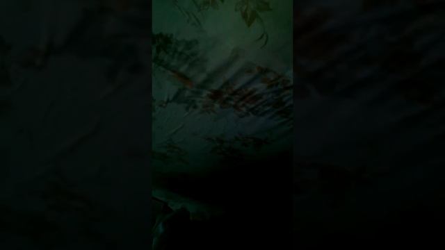 Живём ниже этажом данной квартиры! смотреть онлайн