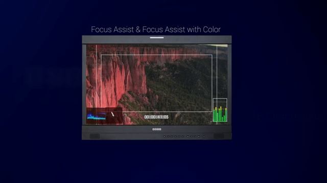 OSEE XCM250 25" OLED Monitor смотреть онлайн