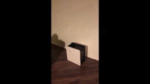 Как НА САМОМ ДЕЛЕ работает мойка воздуха Bork Q700