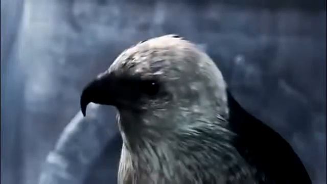 Песня Assassins Creed/Aleska Lala смотреть онлайн