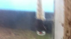 Ремонт уличного термометра