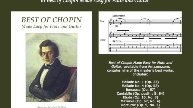 Chopin's "Prelude" (Op. 28, No. 15) for flute and guitar смотреть онлайн