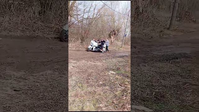 прибытие рояля.mp4