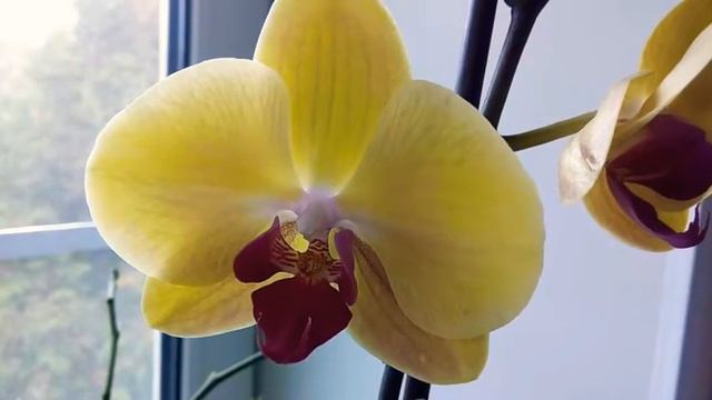 Понемногу обо всем.