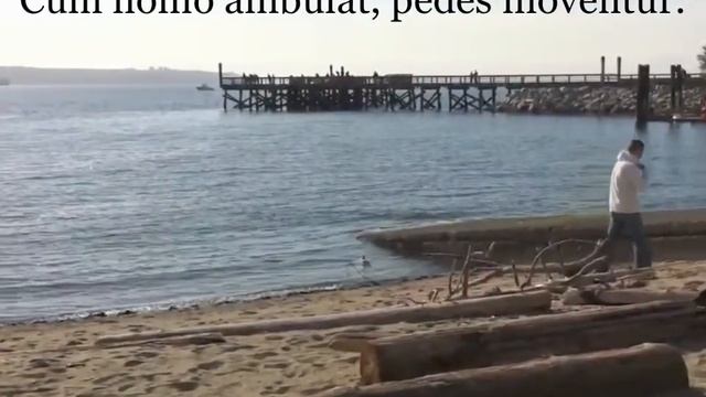 Capitulum Decimum, Lectio Prima смотреть онлайн