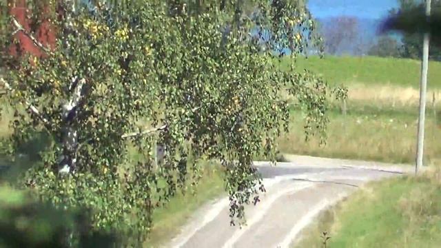 Sony Handycam HDR-CX190E Test смотреть онлайн