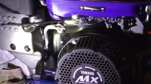 Мотоблок Нева МБ23 Мультиагро Yamaha MX300. Не удалось почистить топливный фильтр