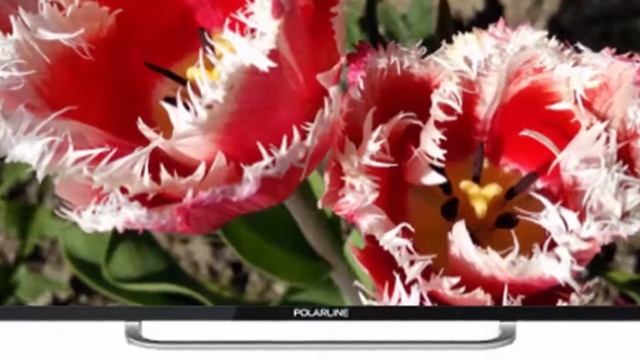 Отзыв на телевизор за адекватную цену с яркими красками Polarline 40PL51TC 40 дюймов от владельца смотреть онлайн