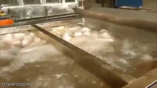 Установка для размораживания продуктов Titan смотреть онлайн