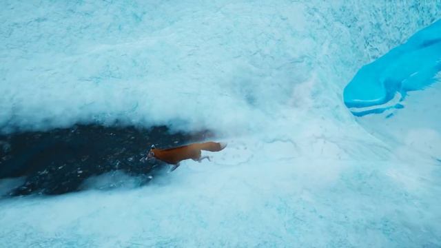 ЧТО СЛУЧИЛОСЬ с ЛИСОЙ в игре Spirit of the North смотреть онлайн