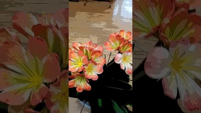 군자란 смотреть онлайн