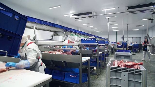 НОВОПУШКИНСКИЙ МЯСОКОМБИНАТ.mp4 смотреть онлайн