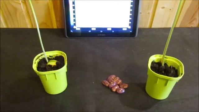 ГРАВИЦАПА холодная плазма смотреть онлайн