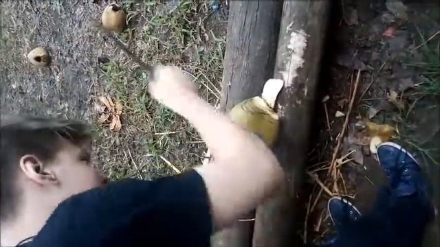 Как правильно резать кокосы смотреть онлайн