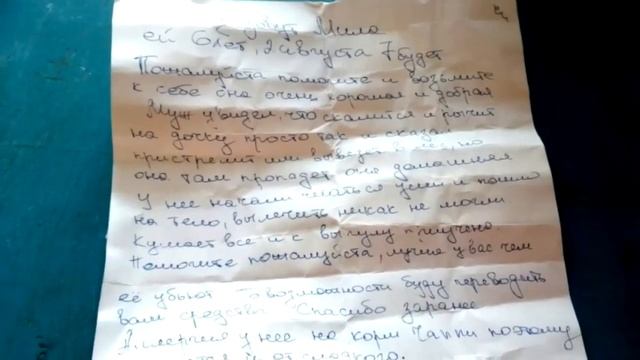 Собака сидела с запиской на шее. Текст записки шокировал волонтёров! смотреть онлайн