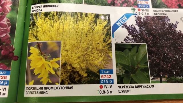 Каталог Садовый Мир? Заключительна Часть!