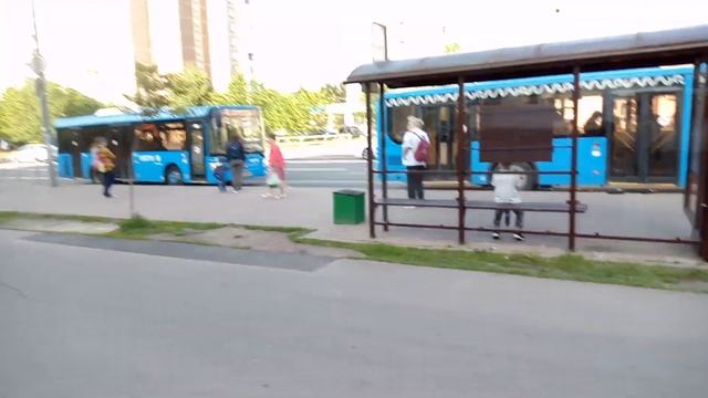 Город Зеленоград район Крюково новенький автобус ЛиАЗ гармошка смотреть онлайн