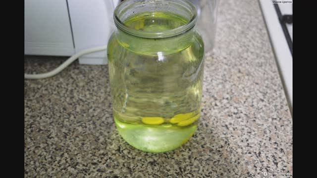 Три самых лучших раствора от фитофторы на томатах. смотреть онлайн