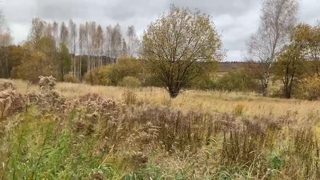 Видео Загорье 1351 смотреть онлайн