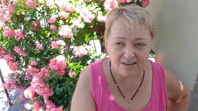 С праздником святой троицы!! смотреть онлайн
