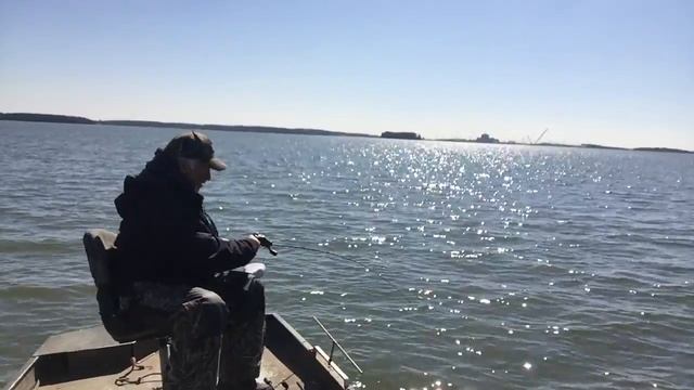 Perch Fishing With Berkley Gulp Shrimp