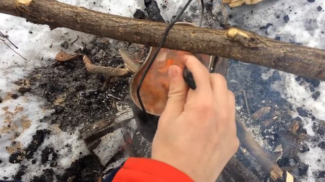 Наука о Здоровье и Жизни