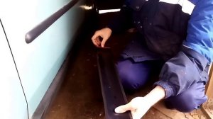 Молдинги на двери Рено Логан, Лада Ларгус, Рено Сандеро.