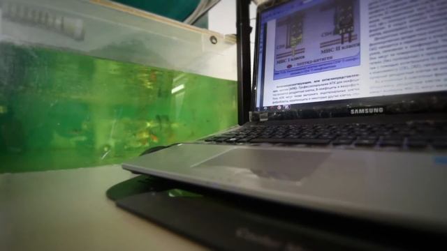 Видео-тур по аквариальному комплексу "Марлин Аквариум" смотреть онлайн