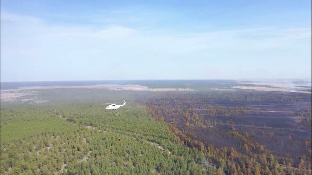 Тушение лесного пожара в ВКО. Видео КЧС МВД РК смотреть онлайн