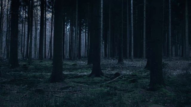 Ты мой кошмар - Глава 21. Озвучка фанфика смотреть онлайн