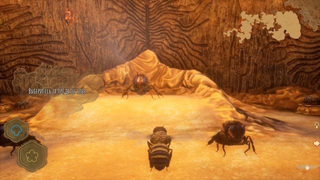 Симулятор Пчелы Bee Simulator обзор #1 От рождения до выхода в Мир
