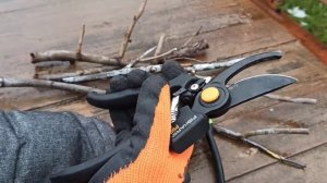 ЦЕНТРОИНСТРУМЕНТ 1141 & ФИСКАРС Р90. Секаторы профессиональные, сравним и протестим.