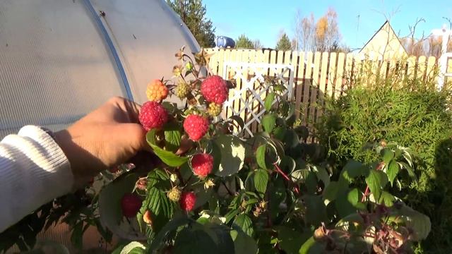 6 соток 19 октября. смотреть онлайн