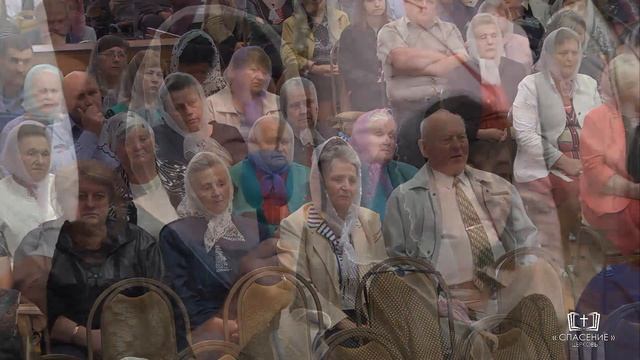 Беларусь, ты да сэрца майго нечым блiзкая / Стихотворение смотреть онлайн
