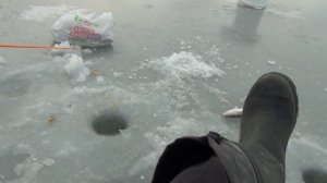 зимняя рыбалка.рыбалка во Владивостоке.жизнь в приморье.Навага.селедка