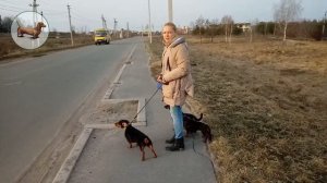 ? ? ? ^ ЧТО ЛУЧШЕ ОДНОЙ ТАКСЫ? ТОЛЬКО ТРИ ТАКСЫ!