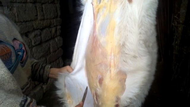 Как разделать козу( часть2) смотреть онлайн