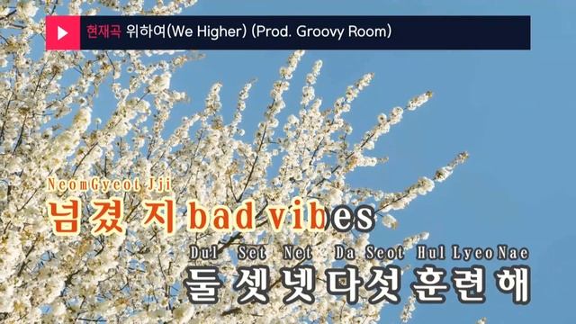 위하여(We Higher) (Prod. Groovy Room) - Groovy Room,릴보이,Blase,노윤하,Polodared,... (KY.24589) / KY Karaok смотреть онлайн