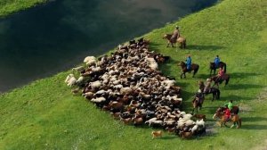 Монголия  Лошади  Монгольские ковбои Horse