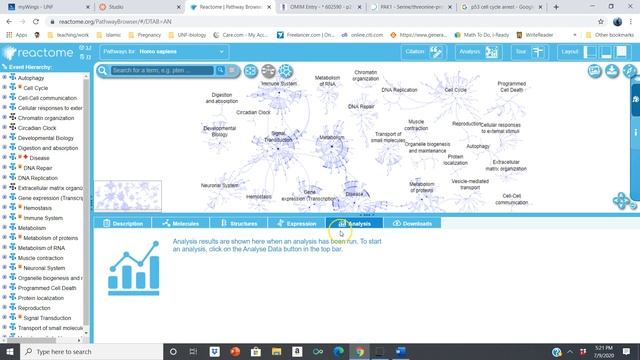 Exploring Pathways through Reactome смотреть онлайн